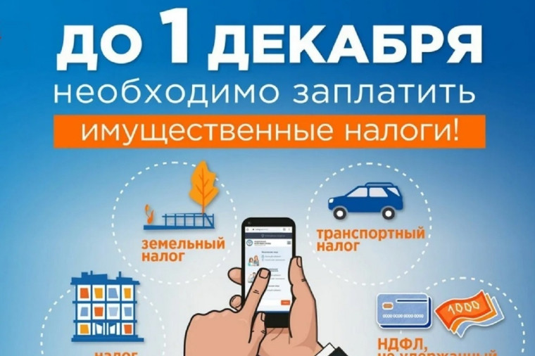 Имущественные налоги необходимо уплатить не позднее 1 декабря.