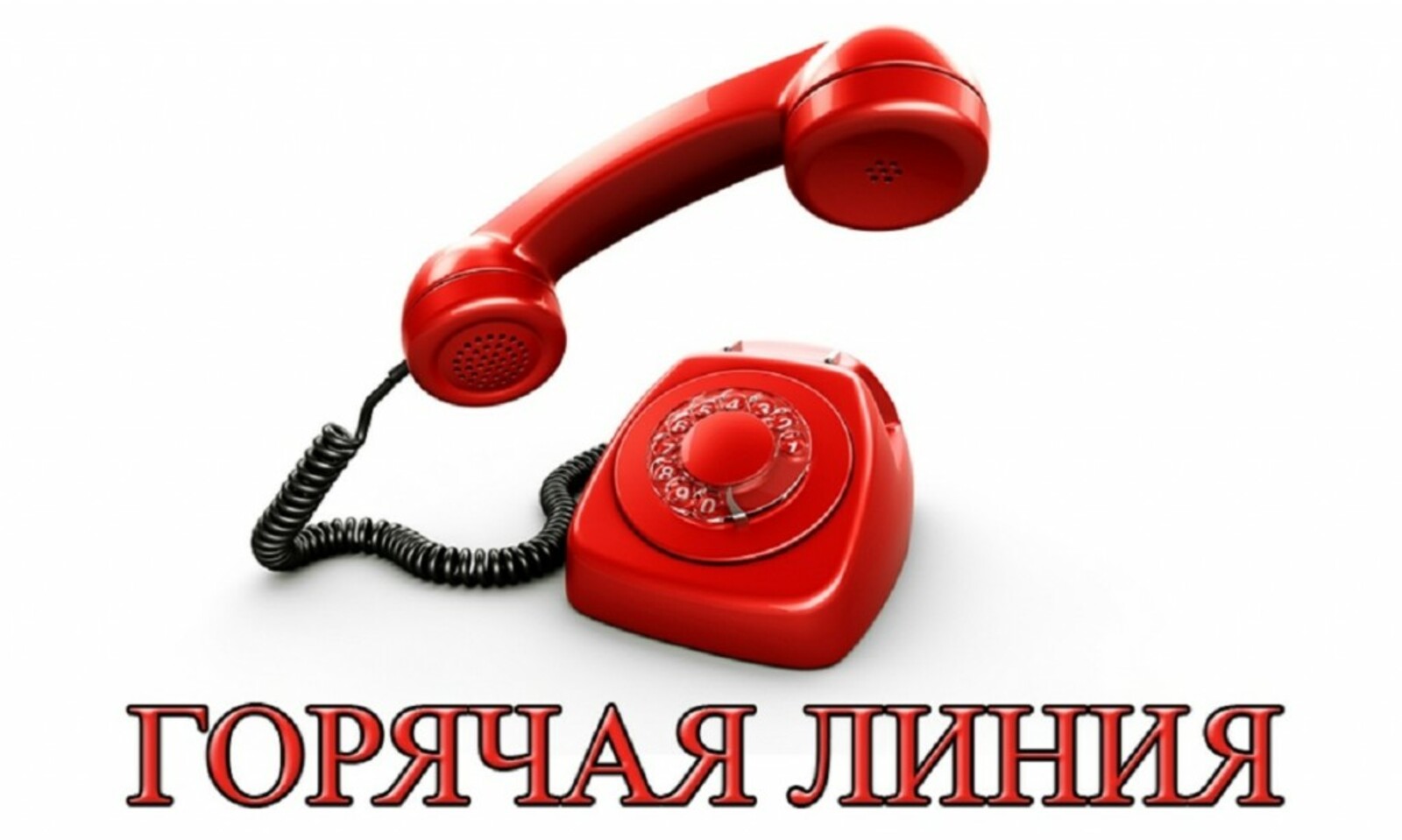 &quot;Горячая линия&quot; по вопросам защите прав предпринимателей.